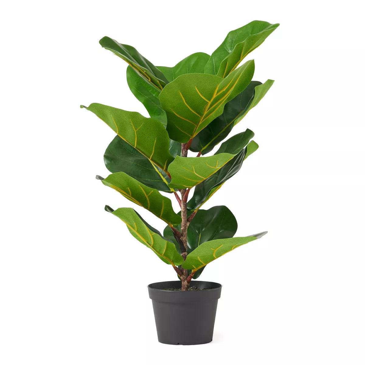 GDFStudio Stilwell Kunst Ficus Lyrata Boom 2' x 1', Groen