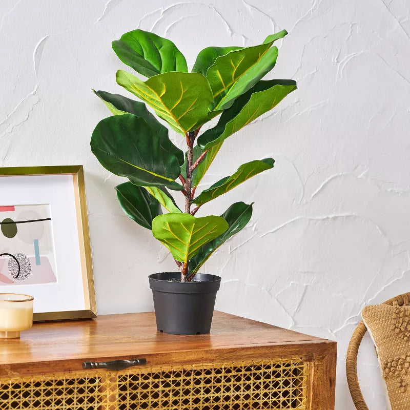 GDFStudio Stilwell Kunst Ficus Lyrata Boom 2' x 1', Groen